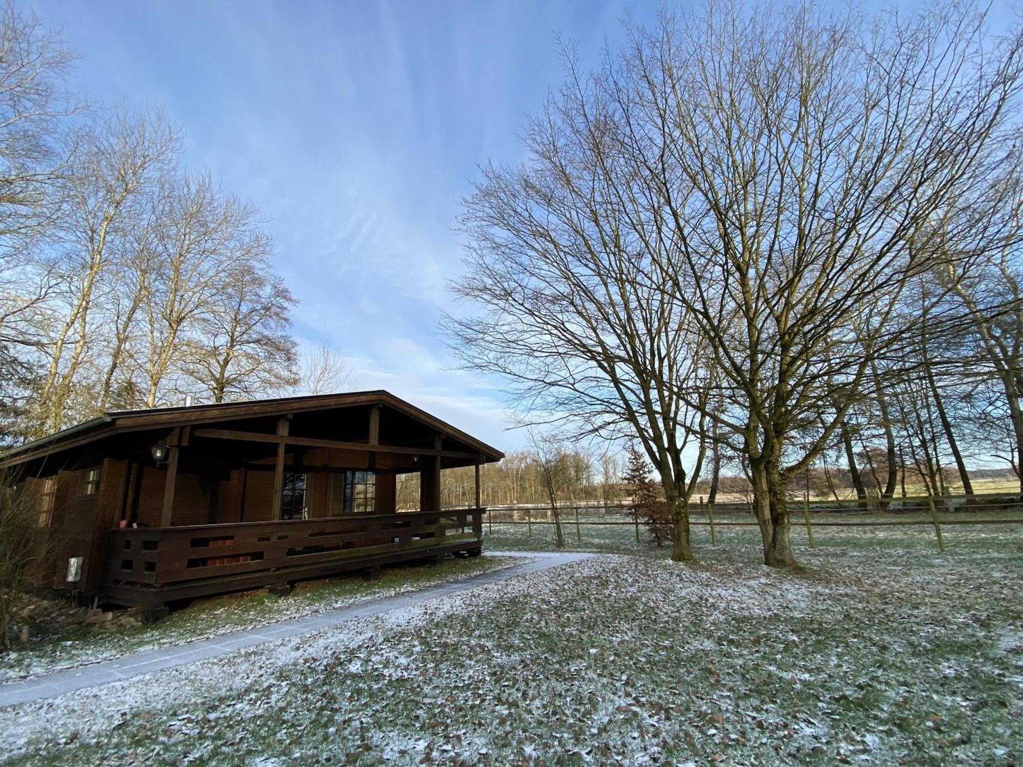 Heidegut Eschede Reitsportanlage Und Feriendorf Room photo