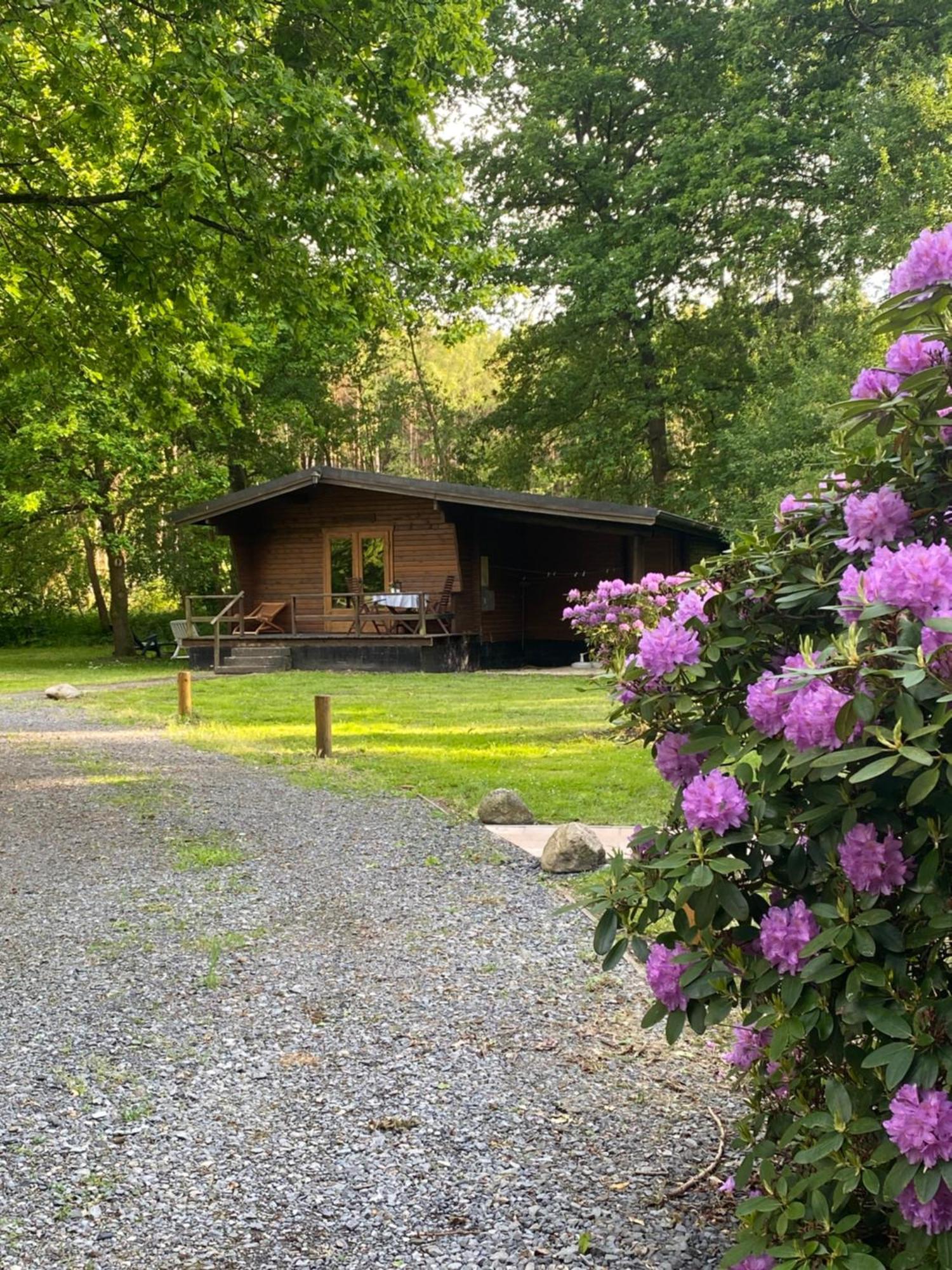 Heidegut Eschede Reitsportanlage Und Feriendorf Exterior photo