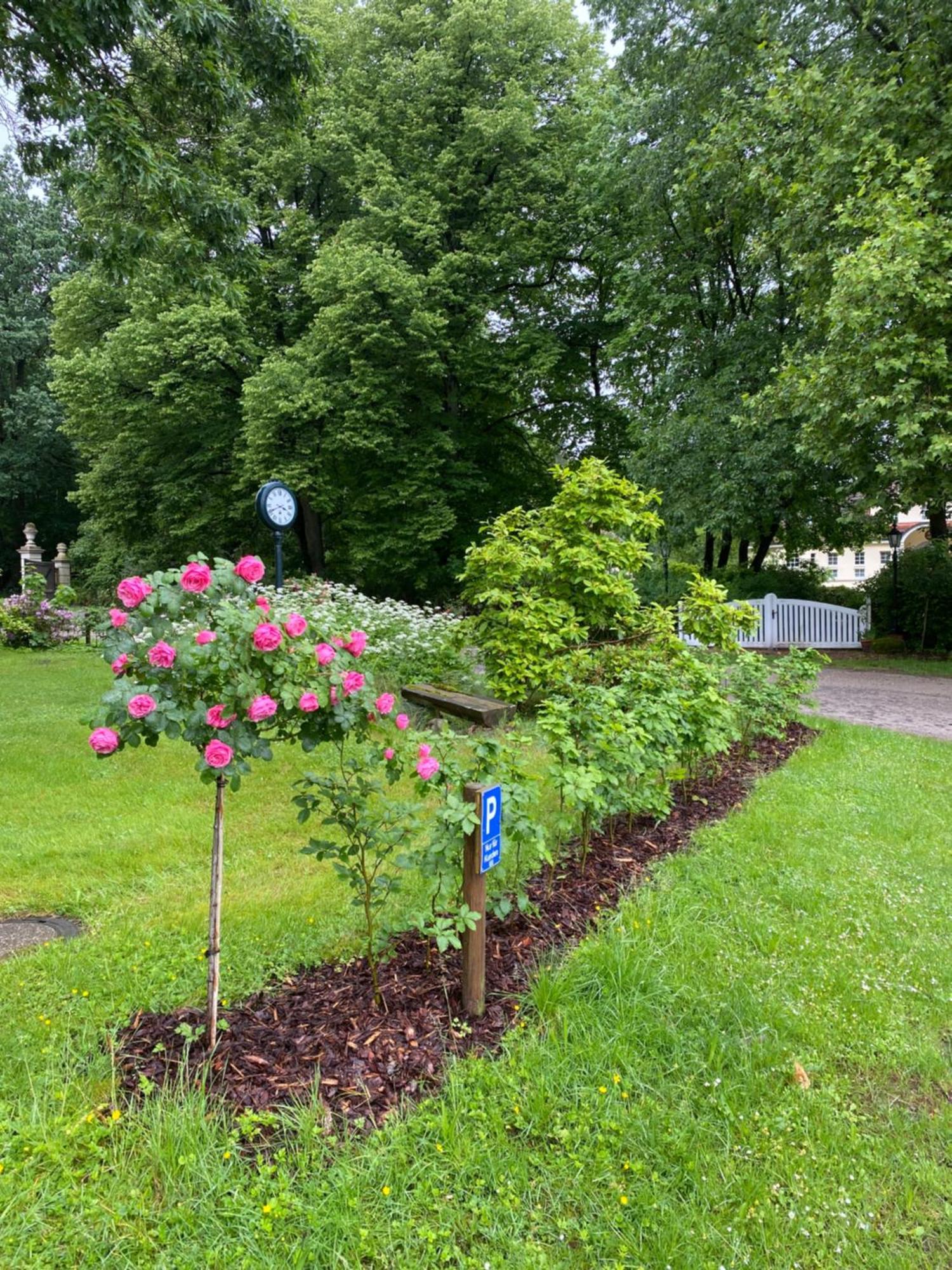 Heidegut Eschede Reitsportanlage Und Feriendorf Exterior photo