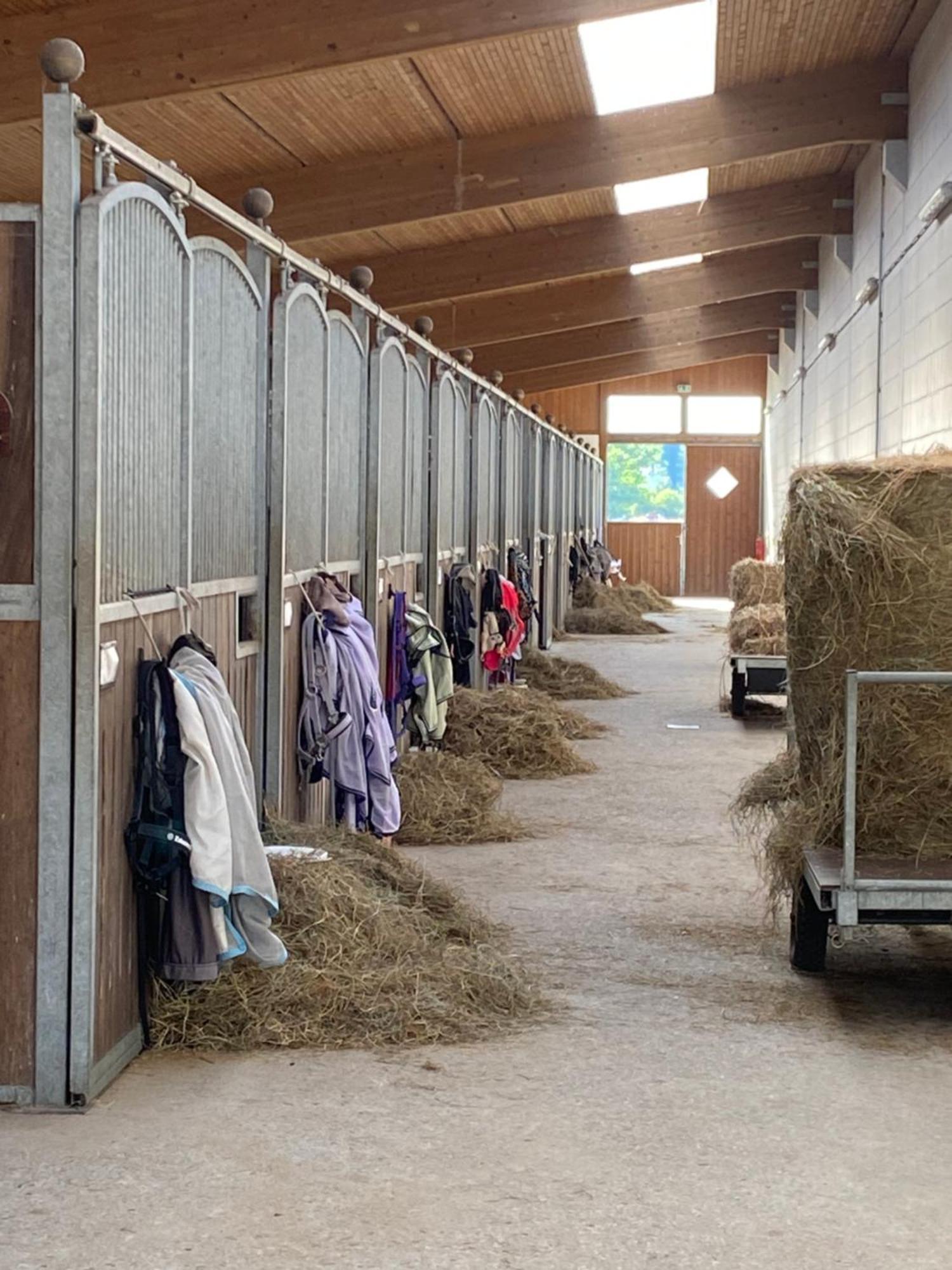 Heidegut Eschede Reitsportanlage Und Feriendorf Exterior photo