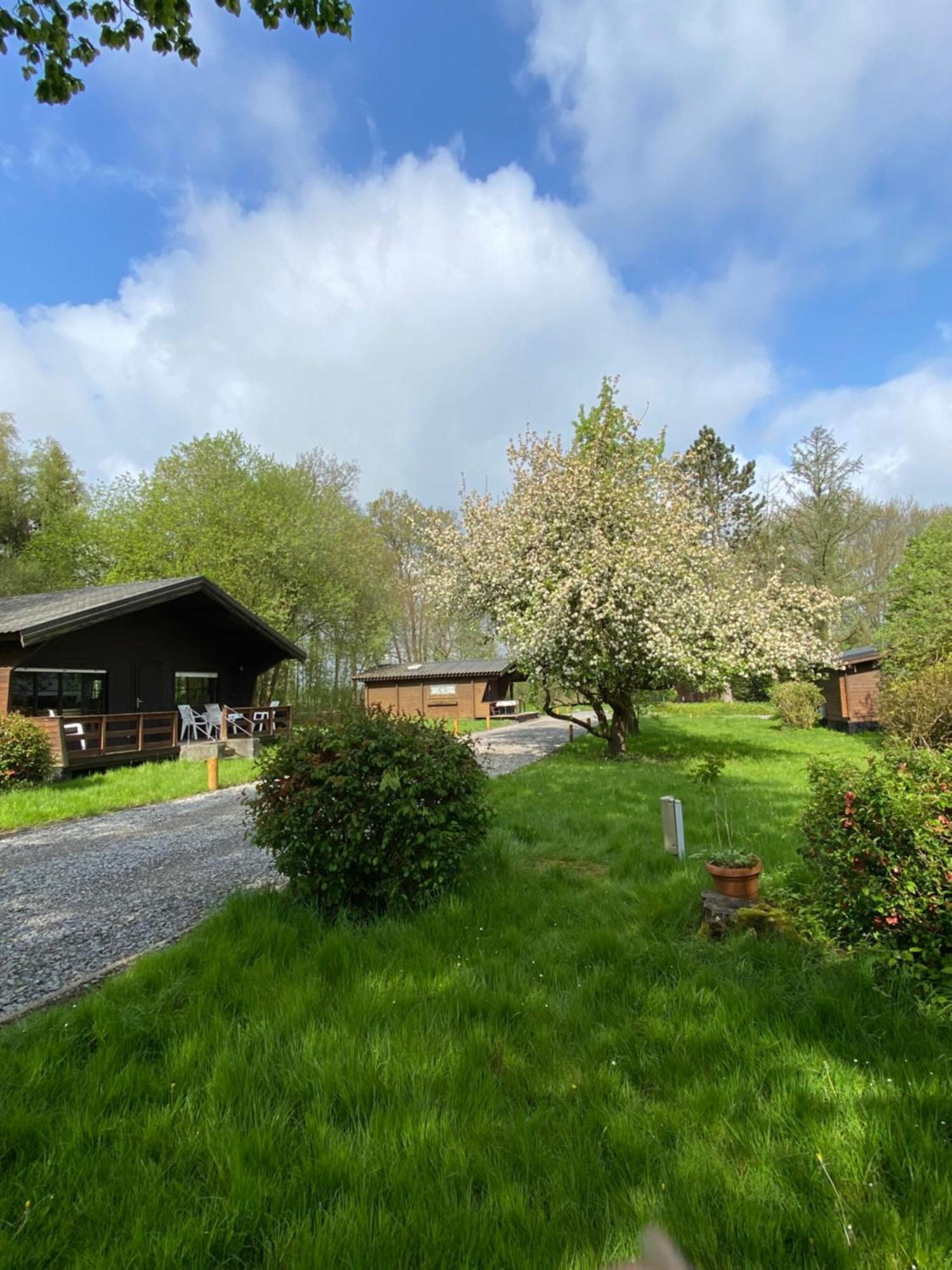 Heidegut Eschede Reitsportanlage Und Feriendorf Exterior photo