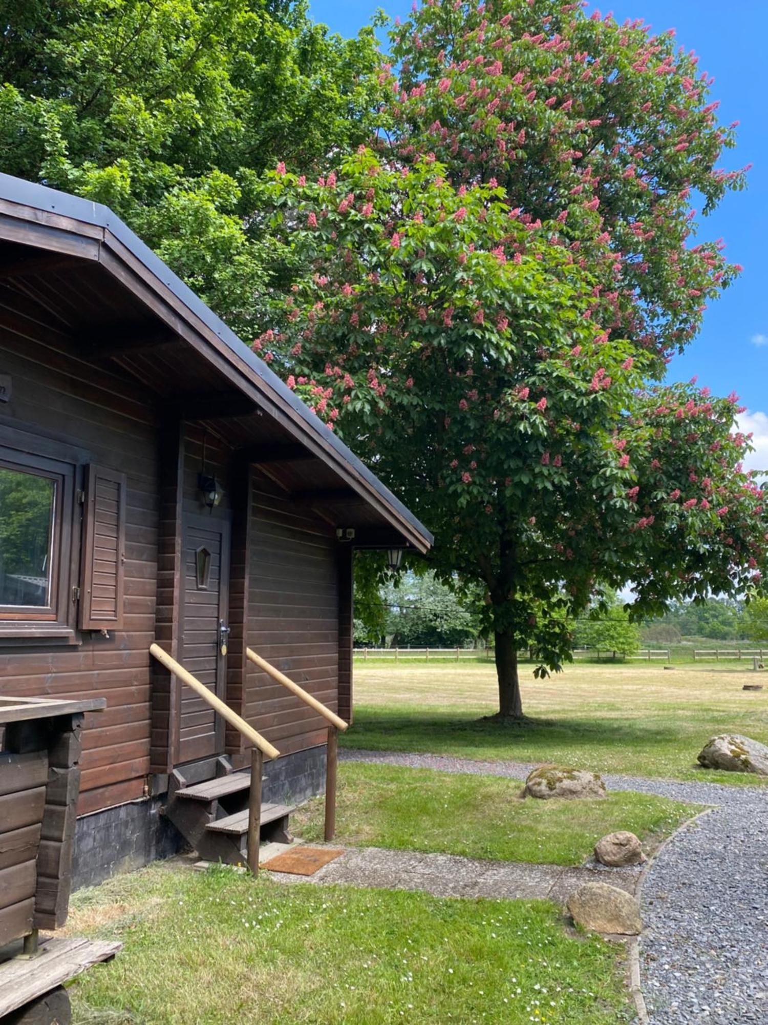 Heidegut Eschede Reitsportanlage Und Feriendorf Exterior photo